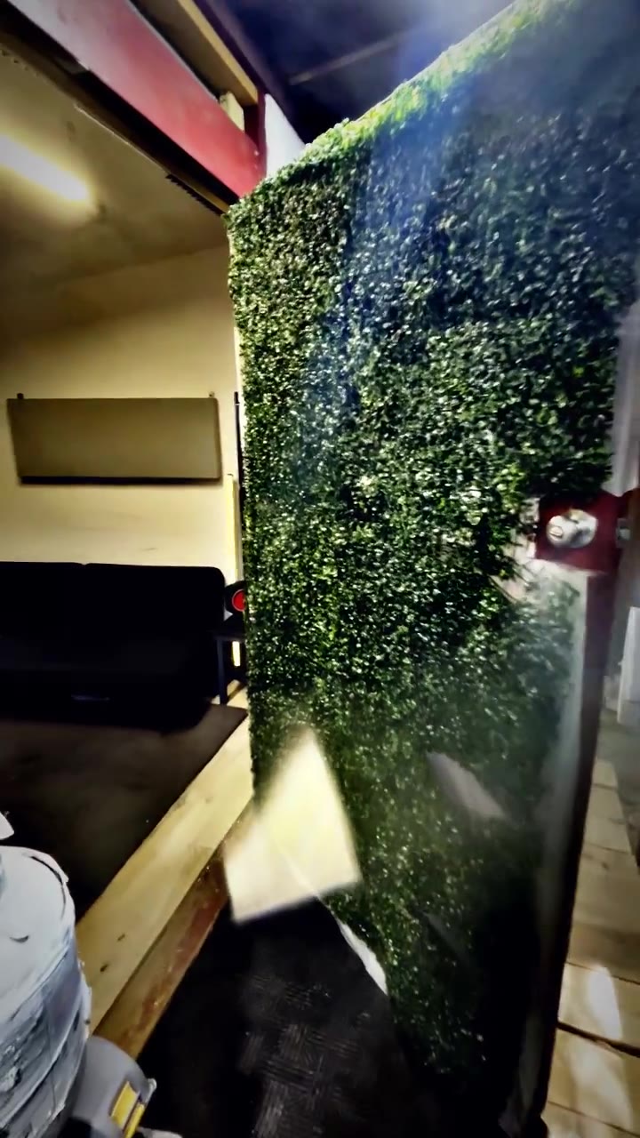 Green wall at the entrance to the lounge